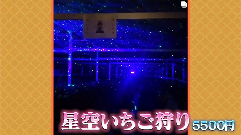 星空いちご狩り　5500円