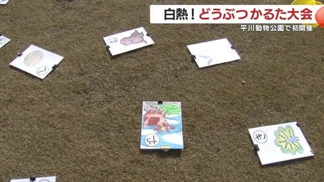 来年の開催も期待