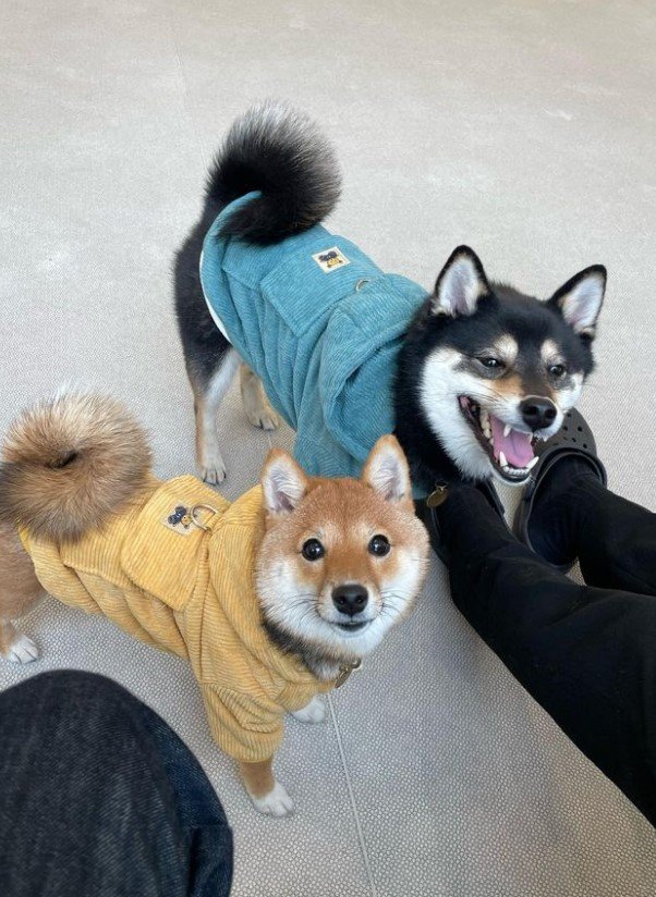 提供：まめふく&ゆめくりさん