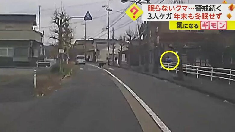 道路の向こうから急接近するクマに気づいた人が慌てて逃げる瞬間②