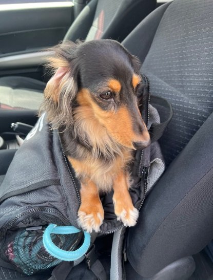 病院に着いたと気付いたこうちゃん