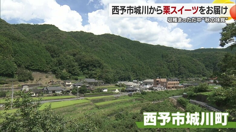 栗の名産地、城川町