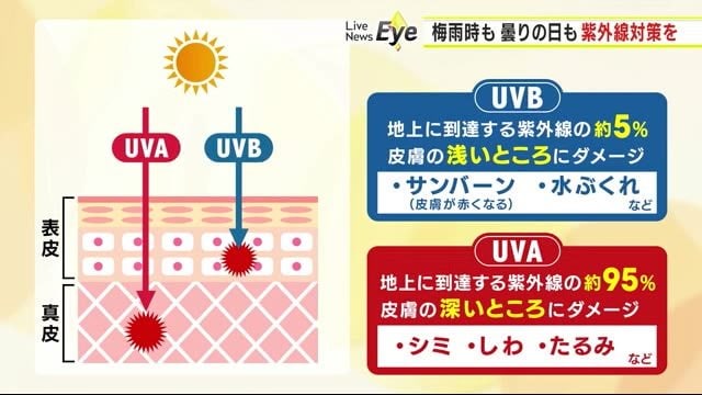 雨の日 販売 室内 日焼け止め