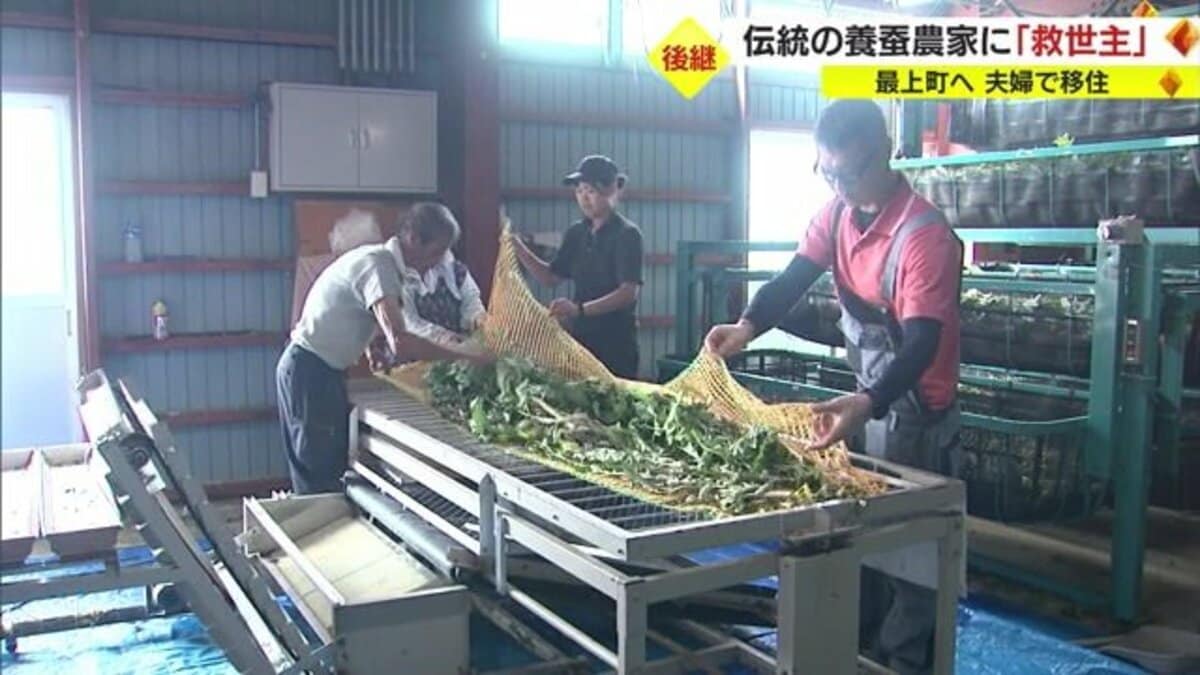 地域に唯一残った養蚕農家の“救世主”は「移住してきた夫婦