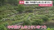 約7000株のアジサイ見頃迎える　中木庭ダム「あじさいまつり」【佐賀県】