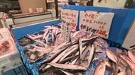 「高くなりましたね」豊漁だったサンマが高騰　冷凍物に変更する飲食店も　9月下旬から水揚げ低調…サイズも小ぶりに