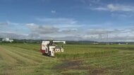 午後から天候急変に注意　ところによって雷伴った激しい雨が降る見込み　15日以降もすっきりしない天気に
