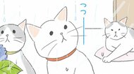 【猫あるある漫画】なんでそんなに猫しぐさ　第3回「じっと見ているその先に」