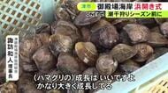 無料で潮干狩りが可能…三重県津市の御殿場海岸で浜開き式 ハマグリは例年よりも育ちが良く大きなサイズ