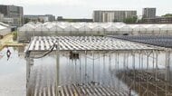 次世代太陽電池×稲作実証実験　水田で「ペロブスカイト」発電へ