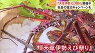 天草市で独自の宿泊キャンペーンも『天草伊勢えび祭り』開催【熊本】
