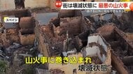 「無力さを感じる…」“過去最悪の山火事”で街が壊滅状態に　「電気止まって」住民バケツで応戦　家庭用ホースで消火試みる姿も　スペイン・ポルトガル