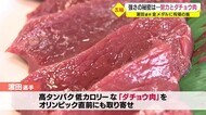 【東京五輪】女子柔道78kg級金メダル・浜田選手の地元は祝福続く そして元気の源は?