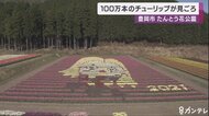 チューリップまつりに「アマビエ」も 100万本のチューリップが見ごろ