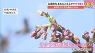 【北海道の天気 4/19(月)】まもなく函館でサクラ開花か 今週はサクラ前線が北海道を進む
