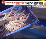 「絶対に怪しいと思った」“北海道の業者”名乗るしつこい勧誘電話…急増する“カニカニ詐欺”勝手に代引きで送り付け・中身スカスカの粗悪品も