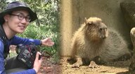 カピバラ中心の生活…自称「カピバラ探検家」が南米で気付いた魅力と課題【静岡発】