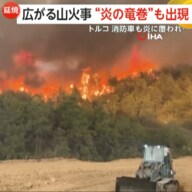 気温40度！「炎の竜巻」出現！大量の炎と煙が渦を巻き消防車も炎に覆われる…強風で広がる山火事に航空機投入も消火活動は難航　トルコ
