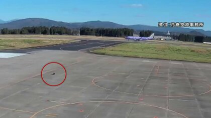 クマが空港に進入、一時滑走路閉鎖で2便に遅れ　イヌの散歩中クマに襲われ男性けが　各地でクマ出没　岩手県