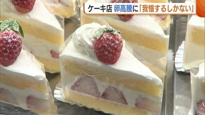 ケーキ店“卵高騰”も全ての価格転嫁難しく「我慢するしかない」 クリスマス控え“鳥インフル”発生に不安も「卵ないと本当に困る」新潟