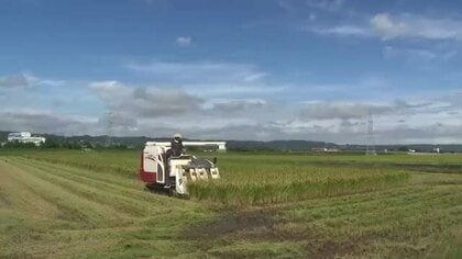 午後から天候急変に注意　ところによって雷伴った激しい雨が降る見込み　15日以降もすっきりしない天気に