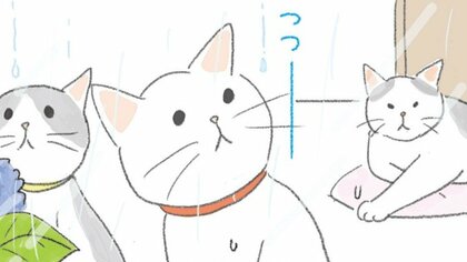 【猫あるある漫画】なんでそんなに猫しぐさ　第3回「じっと見ているその先に」