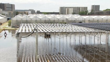 次世代太陽電池×稲作実証実験　水田で「ペロブスカイト」発電へ