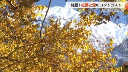 【動画あり】剱岳と紅葉の絶景コラボ！馬場島「今シーズン一番の冷え込み」で色鮮やかに輝く特等席