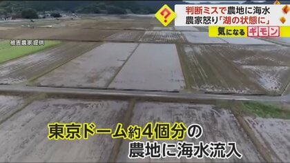 水門工事中に誤って海水流入　東京ドーム約4個分の農地が「湖の状態だった」と農家怒り　熊本・天草市