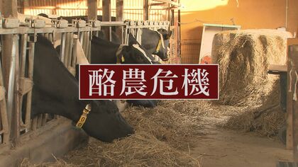 歴史的な円安でエサ代高騰　牛乳と酪農家を直撃　値上げ検討も“牛乳離れ”懸念で見送り「歯を食いしばっていくしかない」