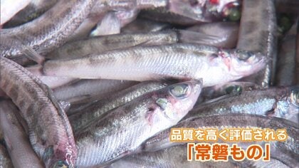 【真作】 河野剛 「 カンヌの街角 」 油彩　F4号　愛媛県出身　BK004 真作】 河野剛 「 カンヌの街角 」 油彩 F4号 愛媛県出身 BK004 - メルカリ