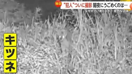 独自】片方だけ盗むナゾの「靴ドロボー」 被害20足以上にある共通点が 