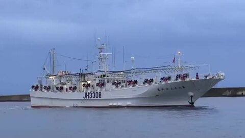 太平洋側は好調も…能登町の小木港で今年最後のスルメイカ水揚げ 過去最低だった去年をさらに下回る見通し