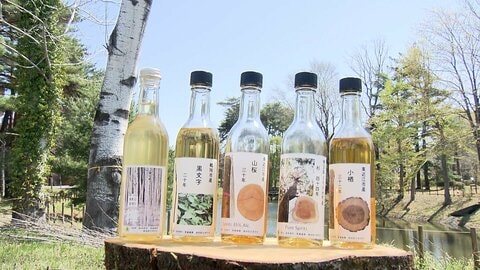 世界初“木のお酒”木の種類・産地・樹齢で味や風味が変化　間伐材を有効活用　林業活性化の一助になるか