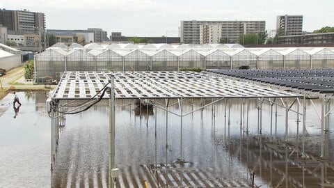 次世代太陽電池×稲作実証実験　水田で「ペロブスカイト」発電へ