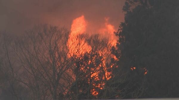 大船渡の山火事 焼失面積が約2100ヘクタールに拡大 約1200人が避難 岩手県が発表大船渡の山火事 焼失面積が約2100ヘクタールに拡大 約1200人が避難 岩手県が発表