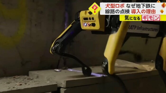 犬型ロボットがせまい場所を歩いている
