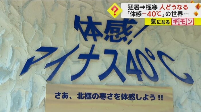 「氷の館 アラスカ」の売り文句