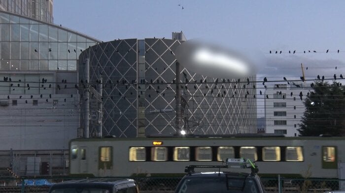 走行中の電車、その上には大量のカラスの群れが…