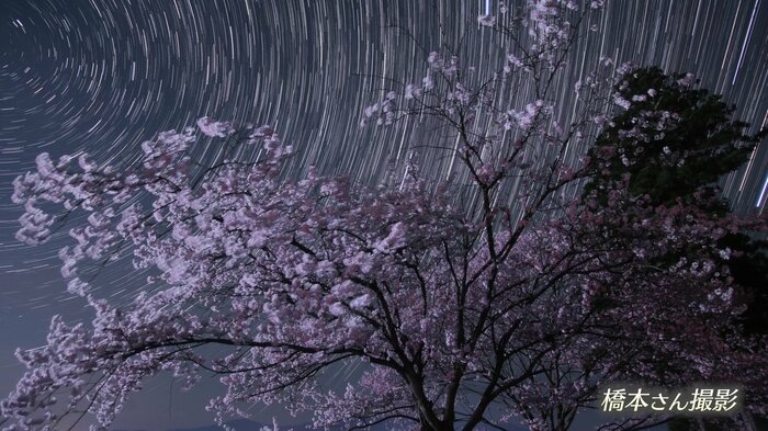 宇宙は「数学的でも文学的でもある」と橋本さん