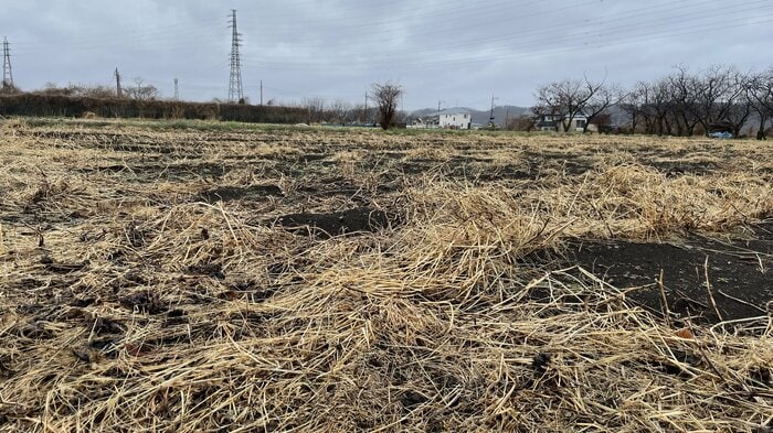 後継者不足で都内で減り続ける農地
