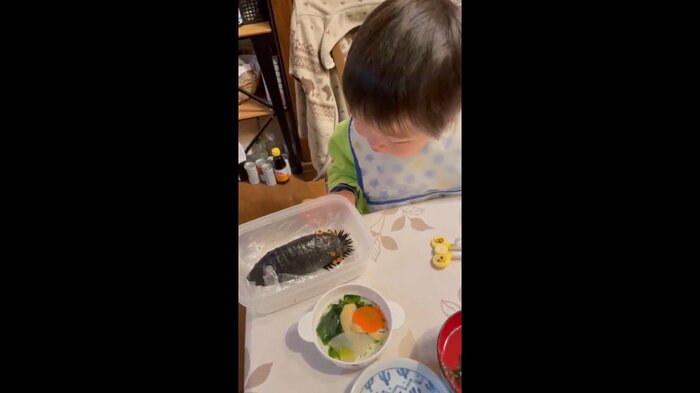 不思議そうに王蟲寿司を見つめる息子さん