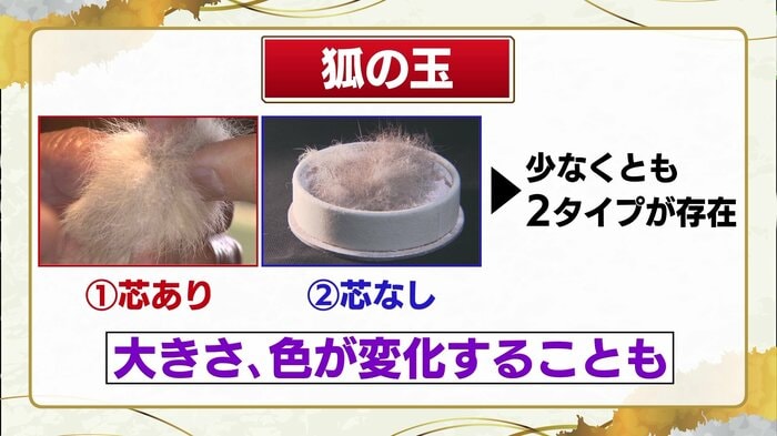 少なくとも2タイプ!?