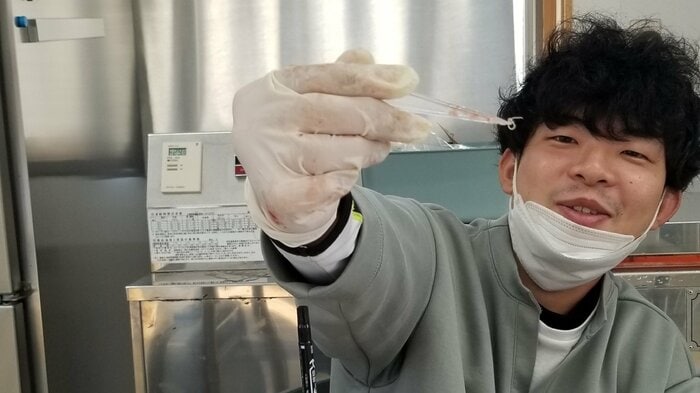 アニサキスを確認（提供：福井県立大学）
