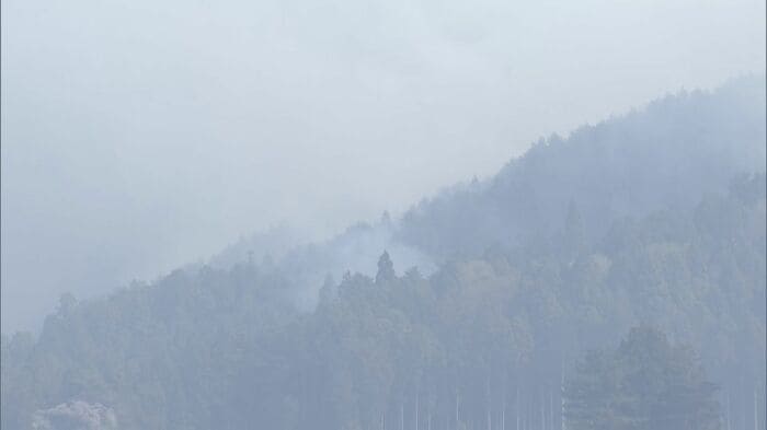 白煙が立ち上る山林（4月25日・大槌町）