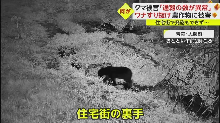 住宅街の裏手を物色するように歩き回る
