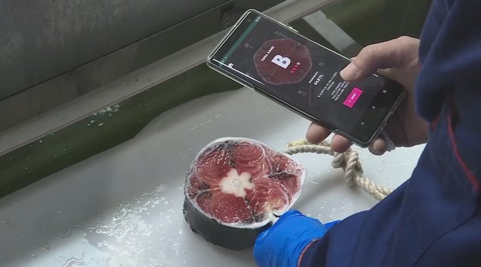 わずかな違いと品質を見極める「AIまぐろ」 新型コロナで注目される「くら寿司」の新たな仕入れ様式