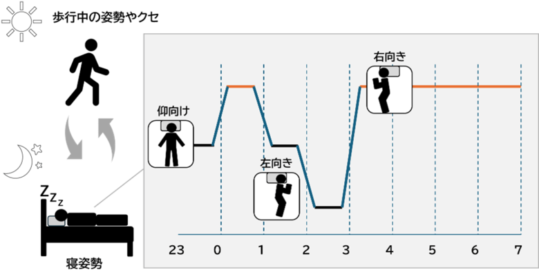 “寝姿勢”に着目した睡眠研究
