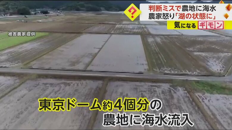 水門工事中に誤って海水流入　東京ドーム約4個分の農地が「湖の状態だった」と農家怒り　熊本・天草市｜FNNプライムオンライン