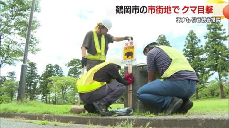 【山形】地域住民に衝撃 鶴岡の市街地でクマ目撃 警戒続く｜FNNプライムオンライン
